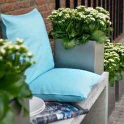 Kalanchoe 'Calandiva'®, Weiß, Topf-Ø 12 Cm, Höhe Ca. 27,5 Cm, 6er-Set 11 Kalanchoe 'Calandiva'®, Weiß, Topf-Ø 12 Cm, Höhe Ca. 27,5 Cm, 6er-Set -Naturgrün Verkaufsgeschäft 0210350168 Kalanchoe Cal weiss2