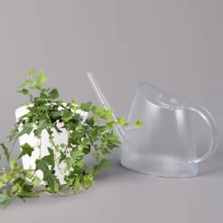 Hedera Helix In Keramiktopf Dallas Weiß, Topf-Ø 12/13 Cm 9 Hedera Helix In Keramiktopf Dallas Weiß, Topf-Ø 12/13 Cm -Naturgrün Verkaufsgeschäft 0220650241 Hedera gruen in Topf Dallas weiss 3