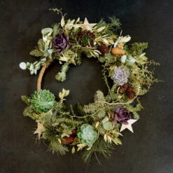 Schnittecheverien-Mix, Ø 5 Cm, 12er-Set 11 Schnittecheverien-Mix, Ø 5 Cm, 12er-Set -Naturgrün Verkaufsgeschäft 0250103364 Echeveria Mix 7 10cm in DIY Box 5 117175 2