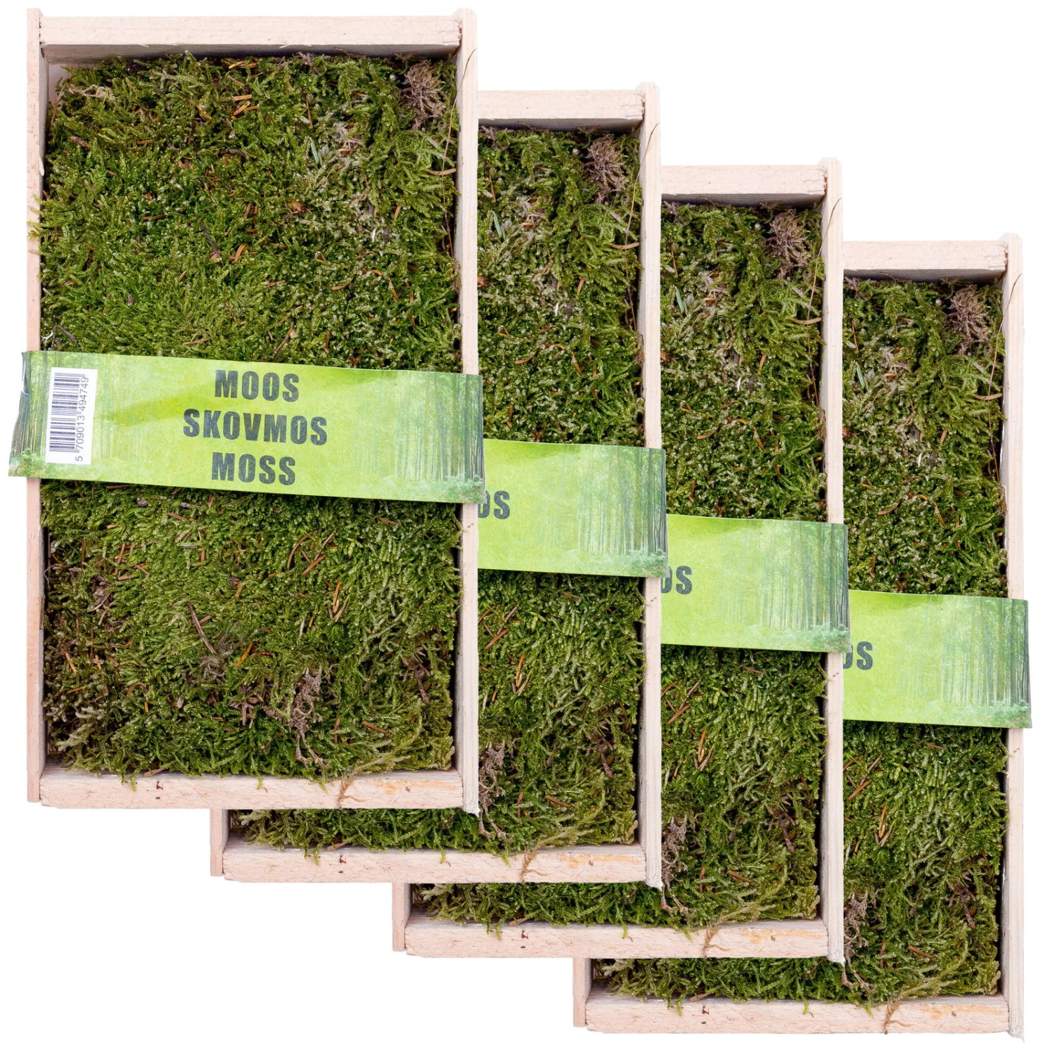Waldmoos In Der Holzkiste, Ca. 25x13x7 Cm, 4er-Set 1 Waldmoos In Der Holzkiste, Ca. 25x13x7 Cm, 4er-Set
