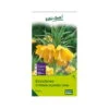 Kaiserkrone (Fritillaria Imperialis Lutea) Gelb, 3 Blumenzwiebeln