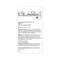 XXL Allium Mischung 'Riesenlauch Schönheiten', Weiß, Lila, 5 Blumenzwiebeln -Naturgrün Verkaufsgeschäft 0720800174 KB Kollektion Riesenlauch Schoenheiten Allium Mischung XXL 2 94239