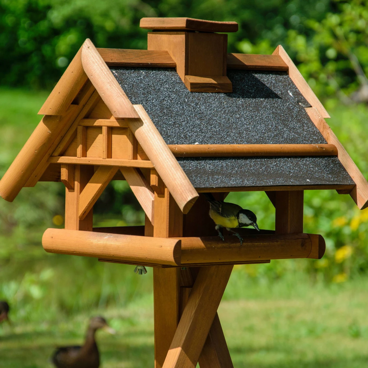 Vogelhaus Inkl. Ständer, Holz, Bernstein, 39 X 38 X 33 Cm 6 Vogelhaus Inkl. Ständer, Holz, Bernstein, 39 X 38 X 33 Cm – Bild 6