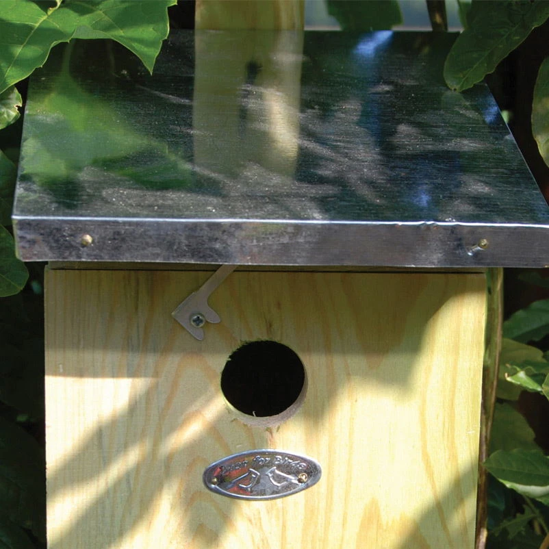 Nistkasten Kohlmeisen 2 Nistkasten Kohlmeisen – Bild 2