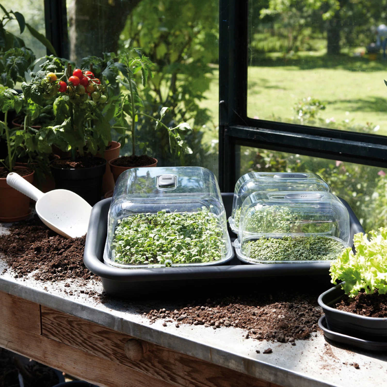 Elho Anzucht-Tablett Green Basics Living Black, Ca. 59x41,9x11,1 Cm, Erdvol. 9,5 L – Bild 2