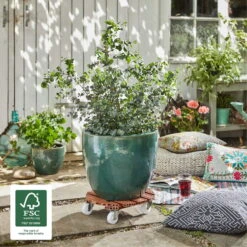 Multi Roller WPC, 150 Kg Tragkraft, Ca. 39 X 39 X 11 Cm -Naturgrün Verkaufsgeschäft 0920600467 multi roller wpc terracotta 3 116653