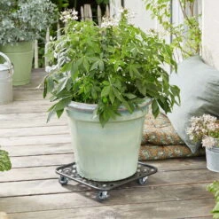 Pflanzenroller GH0936/0937, Tragkraft 80 Kg, Schwarz, Ø 30 Cm -Naturgrün Verkaufsgeschäft 0920600521 pflanzenroller 3 116749