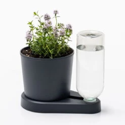 Kräuterheld, Anthrazit, PP/PET, 14 X 14 X 22 Cm -Naturgrün Verkaufsgeschäft 0930101631 Kraeuterheld anthrazit1 116321