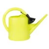 Kölle's Beste Gießkanne, Grün, Mit Brausekopf, Kunststoff