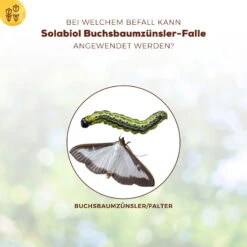 Solabiol Buchsbaumzünsler-Falle, Ausreichend Für Bis Zu 180 M² -Naturgrün Verkaufsgeschäft 0950200723 Buchsbaumzuensler Falle fuer bis zu 180qm Flaeche 1 107232