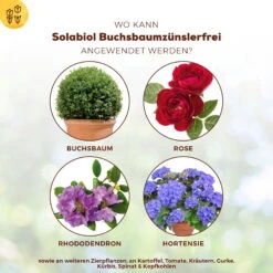 Solabiol Buchsbaumzünsler-Schutz, 50 Ml -Naturgrün Verkaufsgeschäft 0950200746 Solabiol Buchsbaumzuensler Schaedlingsfrei 50ml 1 107236