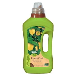 Kölle Bio Eisen-Vital 500 Ml