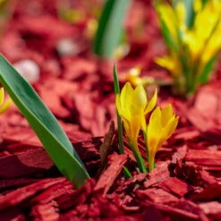 Plantop Dekormulch Ziegelrot, 1950 L Gesamt, 39 Sack á 50 Liter -Naturgrün Verkaufsgeschäft 0960 mulch rot 125176
