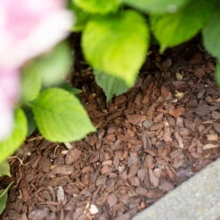 Plantavital Rindenmulch Fein, 2280l, 57 Sack á 40l 6 Plantavital Rindenmulch Fein, 2280l, 57 Sack á 40l -Naturgrün Verkaufsgeschäft 0960 rindenmulch 125174