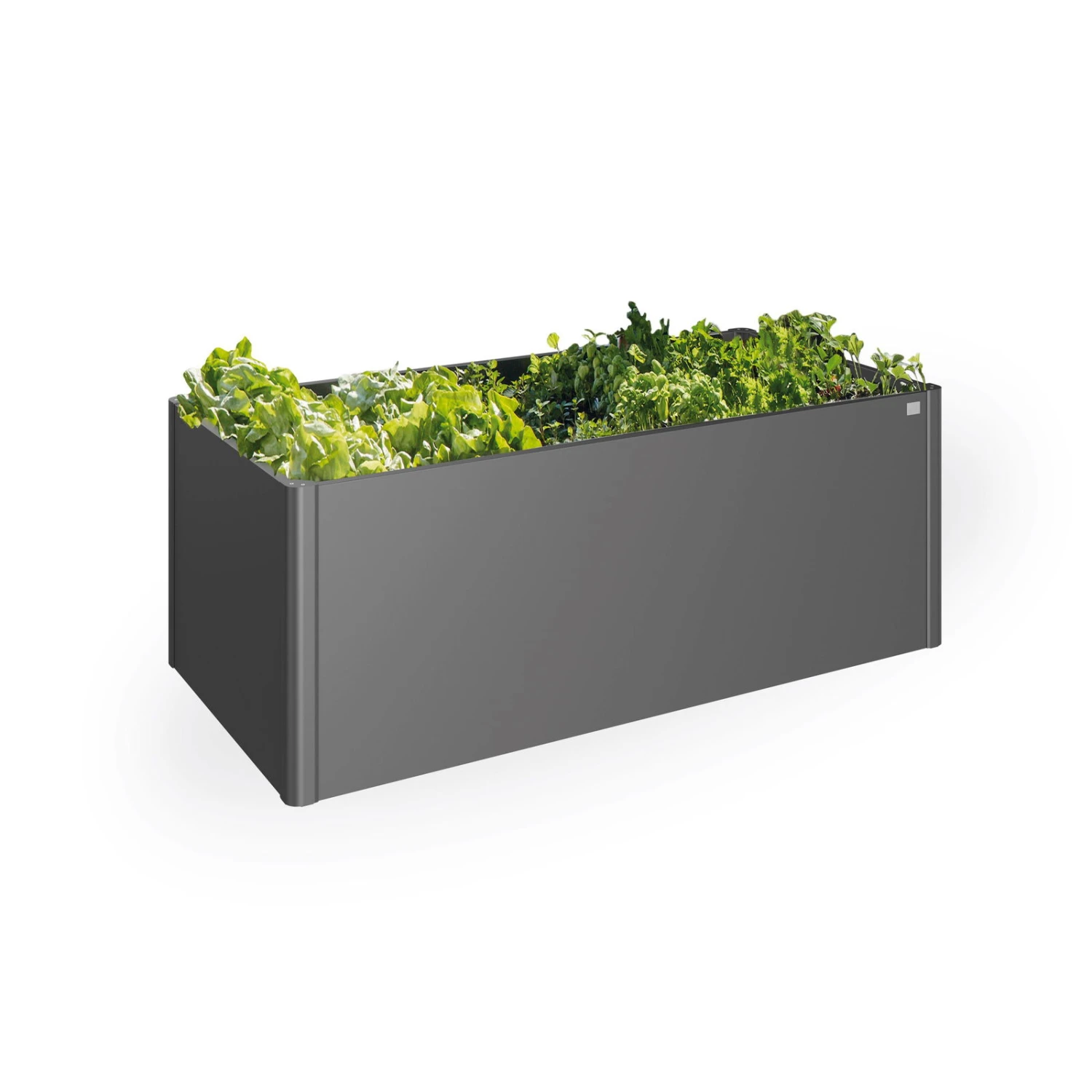 Biohort Hochbeet Mit Raffinierten Details 2 Biohort Hochbeet Mit Raffinierten Details – Bild 2