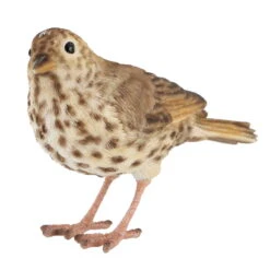 Eisen-Singdrossel, Ca. 17 X 6 X 11 Cm