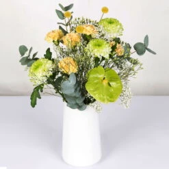 Gemischter Blumenbund 'Grüne Schönheit' Inkl. Gratis Grußkarte -Naturgrün Verkaufsgeschäft 1025700013 DIY Mixbund Gruene Schoenheit Nelke Zembla Crasp Euka Gypso Stat Anth 1 94427