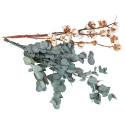 Eukalyptus Getrocknet Und Baumwolle, 2er-Set 4 Eukalyptus Getrocknet Und Baumwolle, 2er-Set -Naturgrün Verkaufsgeschäft 1055300002 Euca natur Baumwolle 2er Set 1 83030