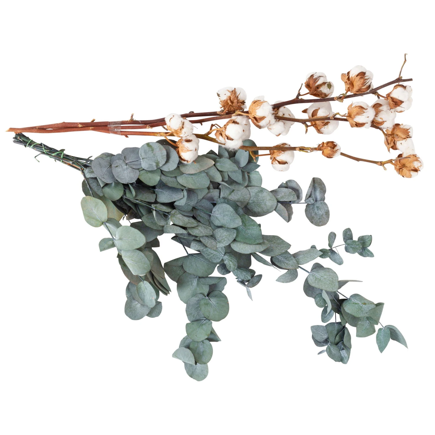 Eukalyptus Getrocknet Und Baumwolle, 2er-Set 2 Eukalyptus Getrocknet Und Baumwolle, 2er-Set – Bild 2