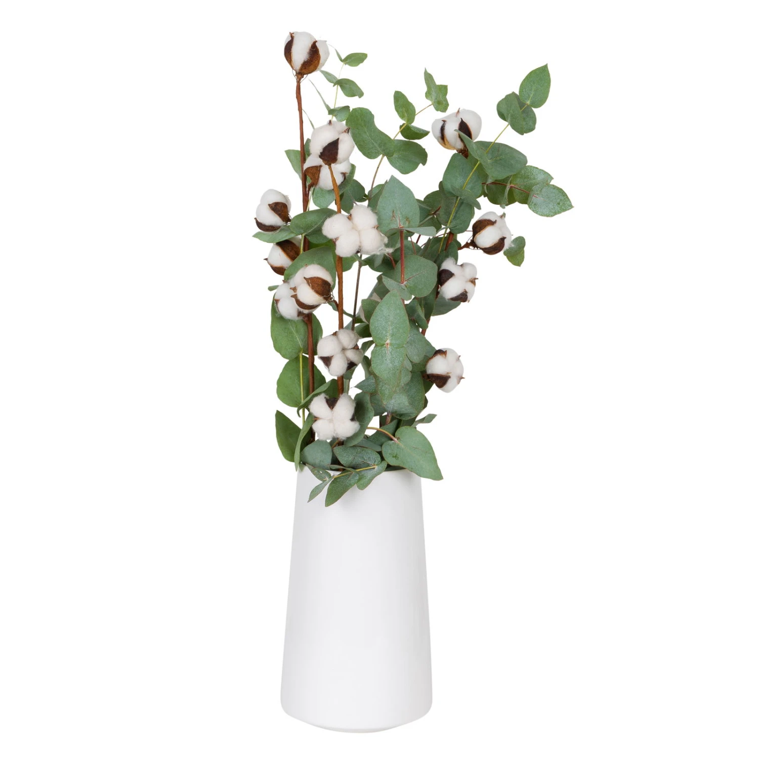 Eukalyptus Getrocknet Und Baumwolle, 2er-Set 3 Eukalyptus Getrocknet Und Baumwolle, 2er-Set – Bild 3