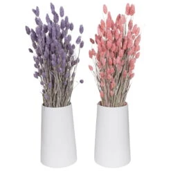 Lila & Rosa Glanzgras, 2er-Set, Länge Ca. 70 Cm -Naturgrün Verkaufsgeschäft 1055300007 Phalaris 2er Set rosa und lila 1 83169