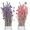 Lila & Rosa Glanzgras, 2er-Set, Länge Ca. 70 Cm