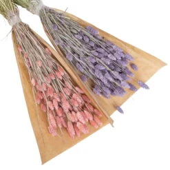 Lila & Rosa Glanzgras, 2er-Set, Länge Ca. 70 Cm -Naturgrün Verkaufsgeschäft 1055300007 Phalaris 2er Set rosa und lila 2 83168