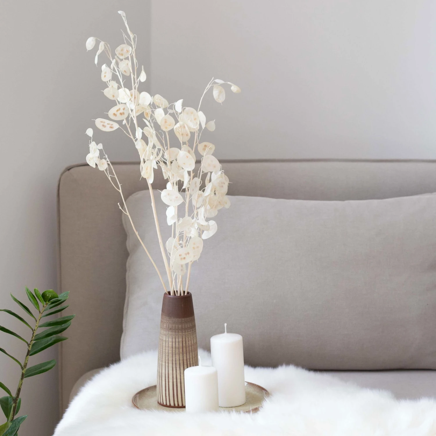 Silbertaler, Getrocknet, Lunaria, Ca. 80 Cm Lang 1 Silbertaler, Getrocknet, Lunaria, Ca. 80 Cm Lang