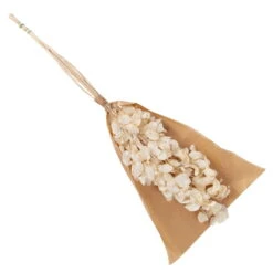 Silbertaler, Getrocknet, Lunaria, Ca. 80 Cm Lang 6 Silbertaler, Getrocknet, Lunaria, Ca. 80 Cm Lang -Naturgrün Verkaufsgeschäft 1055300008 Lunaria weiss mit Tuete 83200