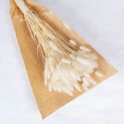 Samtgras Im Bund, Gebleicht Und Getrocknet, Ca. 65 Cm -Naturgrün Verkaufsgeschäft 1055300010 Lagurus gebleicht 1 89167