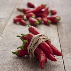 Blu Bio Chilipflanze Zwerg-Chili, Topf-Ø 12 Cm, 3er Set 17 Blu Bio Chilipflanze Zwerg-Chili, Topf-Ø 12 Cm, 3er Set -Naturgrün Verkaufsgeschäft 1620330132 Blu Bio Zwerg Chili mit Fruechte T12 3er Set extra scharf 12 124310