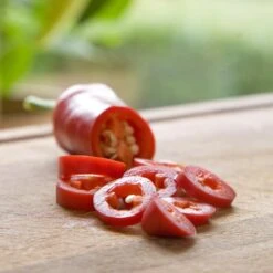 Blu Bio Chilipflanze Zwerg-Chili, Topf-Ø 12 Cm, 3er Set 12 Blu Bio Chilipflanze Zwerg-Chili, Topf-Ø 12 Cm, 3er Set -Naturgrün Verkaufsgeschäft 1620330132 Blu Bio Zwerg Chili mit Fruechte T12 3er Set extra scharf 2 124305