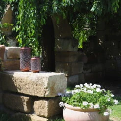 Kölle LED-Solarlaterne Adana, Gold Matt, Höhe 26 Cm, Ø 16 Cm -Naturgrün Verkaufsgeschäft 2950100472 2950100469 Adana 1 113714