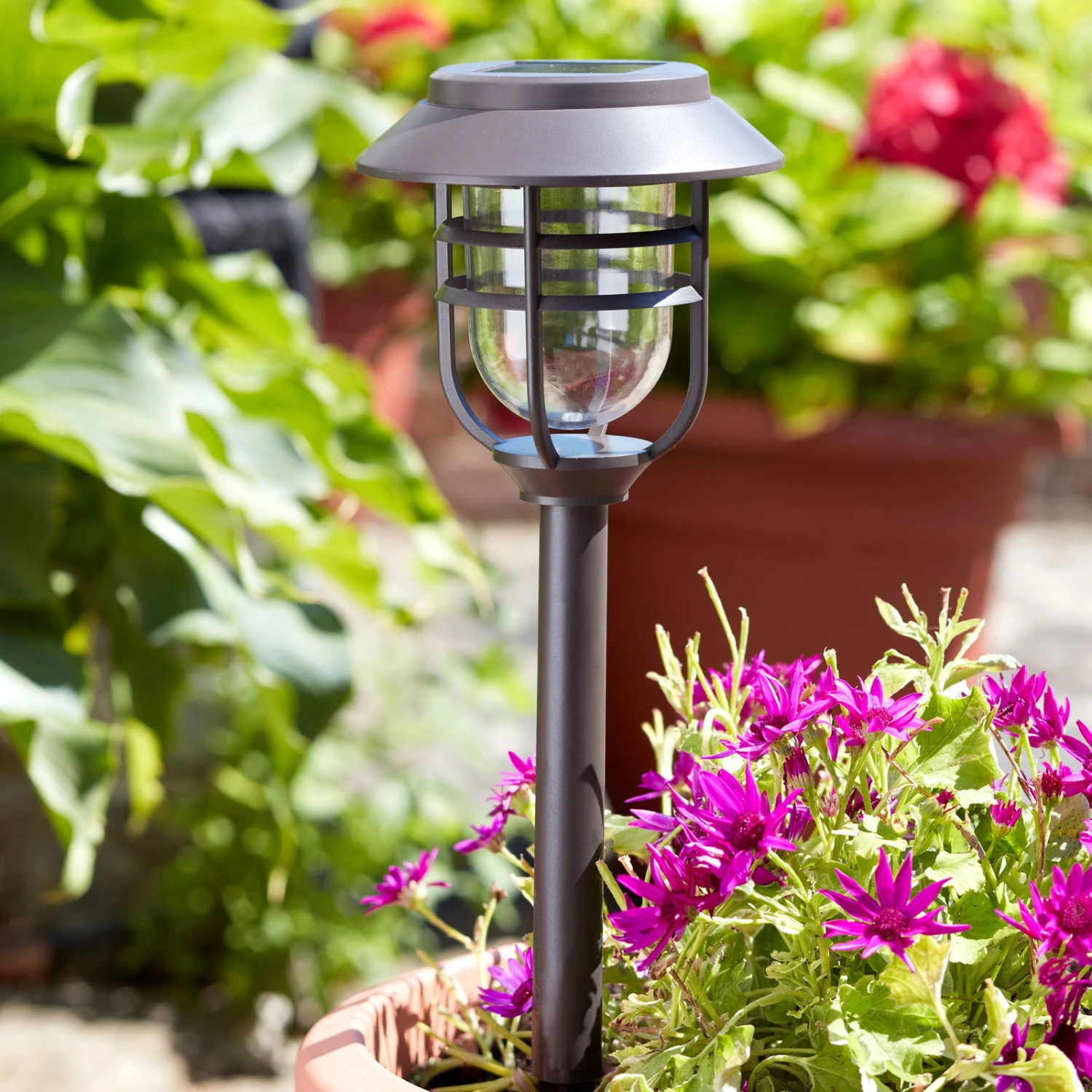 Avant Stableuchte, 5er-Pack, Schwarz, Ø 13 X 43 Cm 1 Avant Stableuchte, 5er-Pack, Schwarz, Ø 13 X 43 Cm