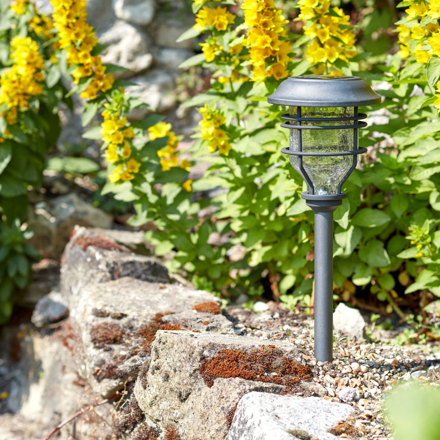 Solarleuchte 'Capri', 10 Lumen, Grau, Metall/Glas, Ca. 46 X 45 X 30 Cm 1 Solarleuchte 'Capri', 10 Lumen, Grau, Metall/Glas, Ca. 46 X 45 X 30 Cm