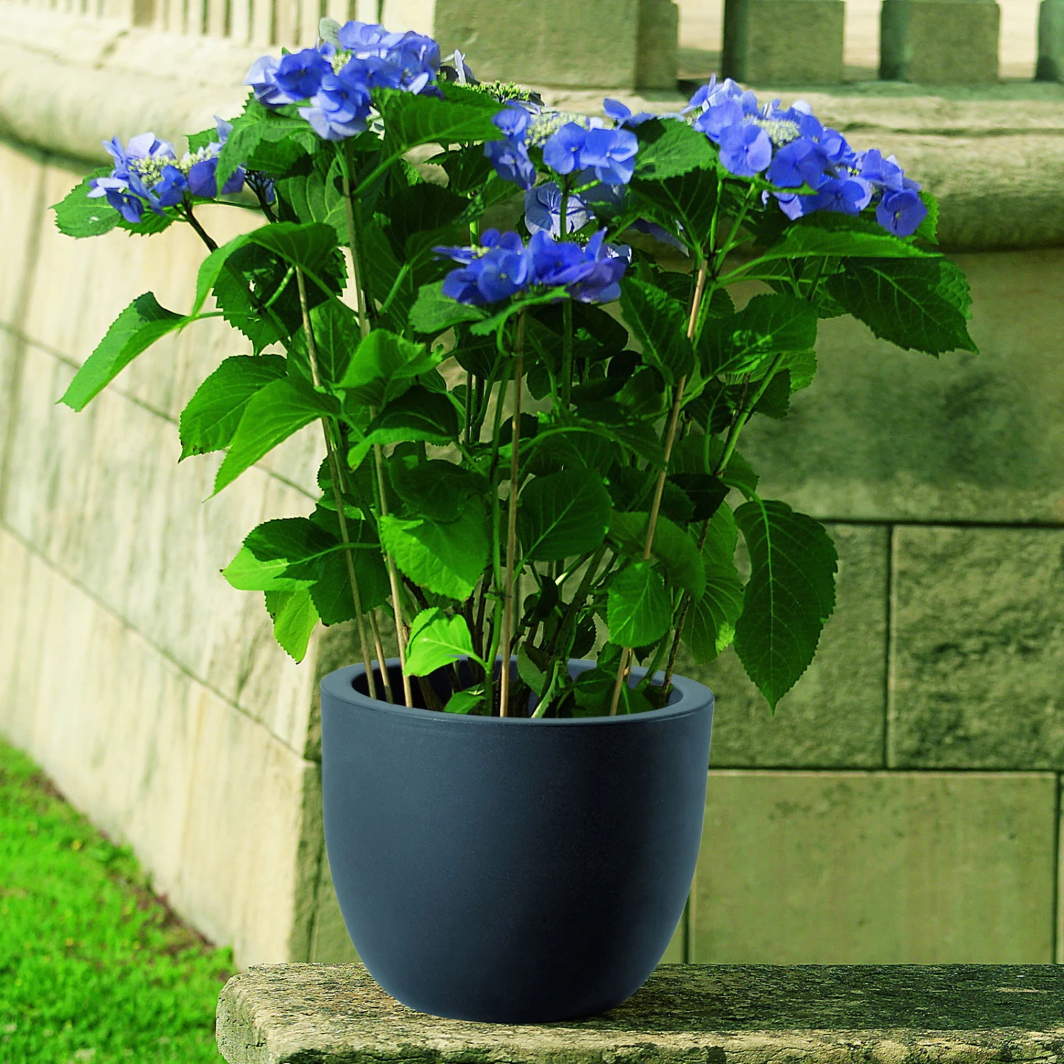 Euro 3 Plast Pflanzkübel Etria Perlschwarz 1 Euro 3 Plast Pflanzkübel Etria Perlschwarz