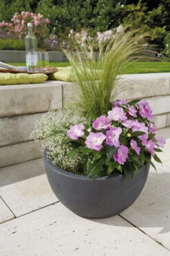 Pflanzschale "Wave Globe Bowl" Schwarz, Ø 40 X H 21 Cm, Erdvolumen 12 L -Naturgrün Verkaufsgeschäft 3210102938 Pflanzschale Wave Globe Bowl schwarz granit D 40cm Erdvol. 12 0 Ltr 70035 628429 2 17329