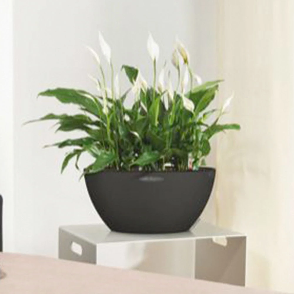 LECHUZA® Pflanzschale Cubeto Graphitschwarz 1 LECHUZA® Pflanzschale Cubeto Graphitschwarz