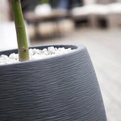 Pflanzgefäß Graphit Egg, Anthrazit, Wasserdicht, Robust 10 Pflanzgefäß Graphit Egg, Anthrazit, Wasserdicht, Robust -Naturgrün Verkaufsgeschäft 3210103698 Pflanzgefaess Graphit Egg anthrazit D50xH60cm 53Ltr 2 62075