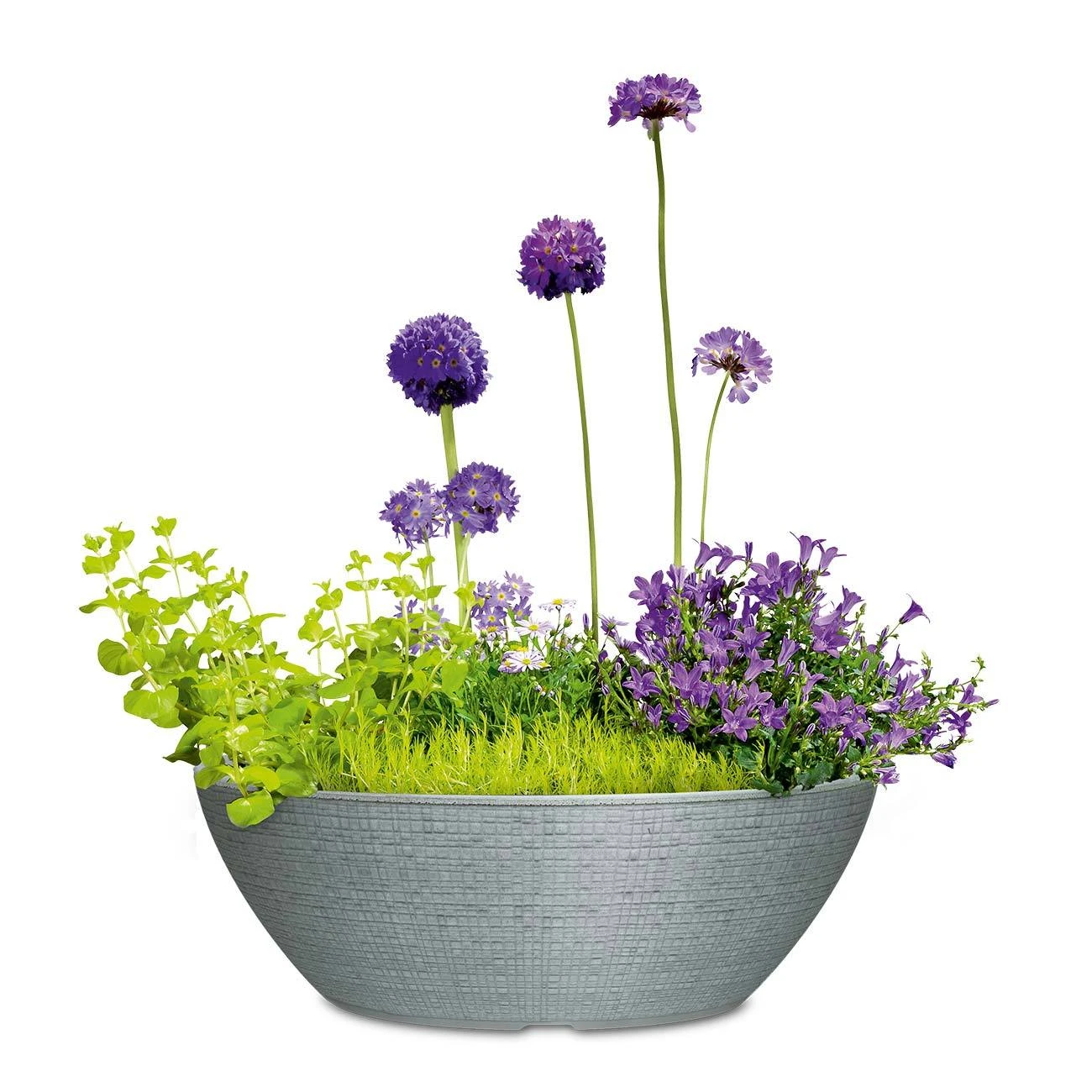 Pflanzschale Barceo, Steingrau, Ø 39 X H18 Cm 1 Pflanzschale Barceo, Steingrau, Ø 39 X H18 Cm