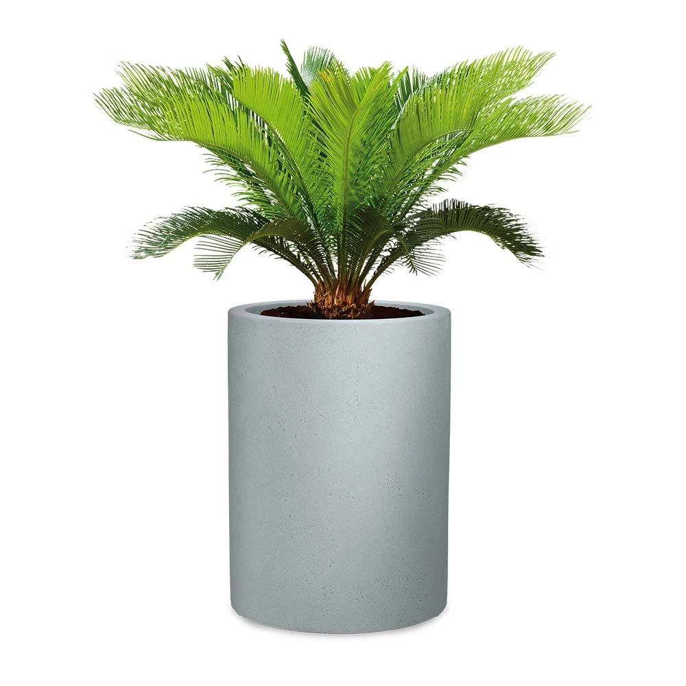 Pflanzgefäß 'Riva High', Rund, Steingrau, Kunststoff 1 Pflanzgefäß 'Riva High', Rund, Steingrau, Kunststoff