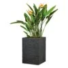 Pflanzgefäß 'Muretto High', Schwarz, L 26 X B 26 X H 60 Cm