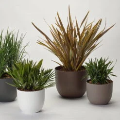 Pflanzkübel 'Rio', Taupe, Ø 34 X H 28 Cm -Naturgrün Verkaufsgeschäft 3210104130 3210104131 3210104132 3210104133 pflanzkuebel rio 122622 1