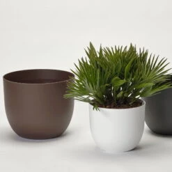 Pflanzkübel 'Rio', Weiß, Ø 34 X H 28 Cm 6 Pflanzkübel 'Rio', Weiß, Ø 34 X H 28 Cm -Naturgrün Verkaufsgeschäft 3210104130 3210104131 3210104132 pflanzkuebel rio 1 122626