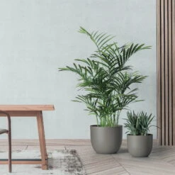 Pflanzkübel 'Rio', Taupe, Ø 34 X H 28 Cm -Naturgrün Verkaufsgeschäft 3210104133 pflanzkuebel rio 2 122629