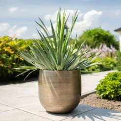 Pflanzgefäß 'Rowen', Gold, Ø 42 X H 41 Cm -Naturgrün Verkaufsgeschäft 3210801622 Pflanzgefaess Rowen gold D 42 x H 41 cm 1 114988