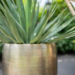 Pflanzgefäß 'Rowen', Gold, Ø 42 X H 41 Cm -Naturgrün Verkaufsgeschäft 3210801622 Pflanzgefaess Rowen gold D 42 x H 41 cm 2 114989