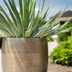 Pflanzgefäß 'Rowen', Gold, Ø 42 X H 41 Cm -Naturgrün Verkaufsgeschäft 3210801622 Pflanzgefaess Rowen gold D 42 x H 41 cm 4 114991