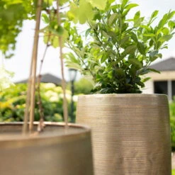 Pflanzgefäß 'Rowen', Gold, Ø 41 X H 72 Cm -Naturgrün Verkaufsgeschäft 3210801630 3210801631 3210801632 3210801633 Pflanzgefaess Rowen gold 2 115015