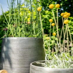 Pflanzgefäß 'Rowen', Silber, Ø 41 X H 72 Cm -Naturgrün Verkaufsgeschäft 3210801635 3210801636 3210801637 3210801638 Pflanzgefaess Rowen silber 12 115029 2